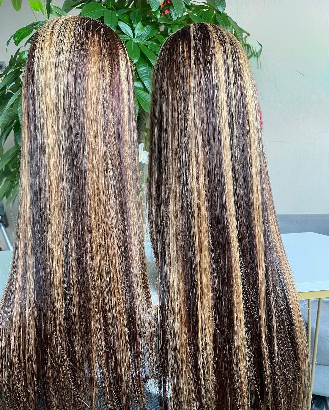 Lavish Colour Studio - Highlighted Queen