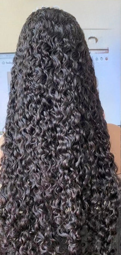 Lavish Signature - Water Wave Frontal Wig