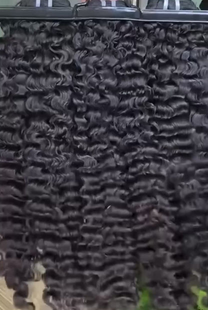 Lavish Signature Plus Collection - Burmese Curl Bundle